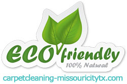 eco friendly cleaning